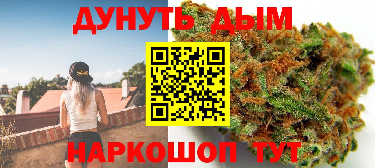 Канабис OG Kush Отрадное